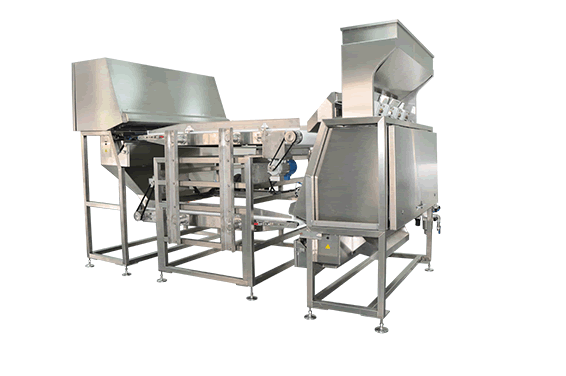 СПД пластик Цвет сортировщик